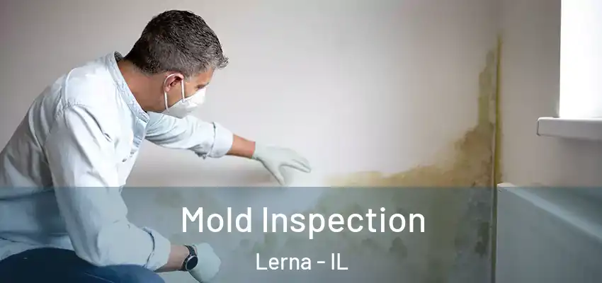  Mold Inspection Lerna - IL
