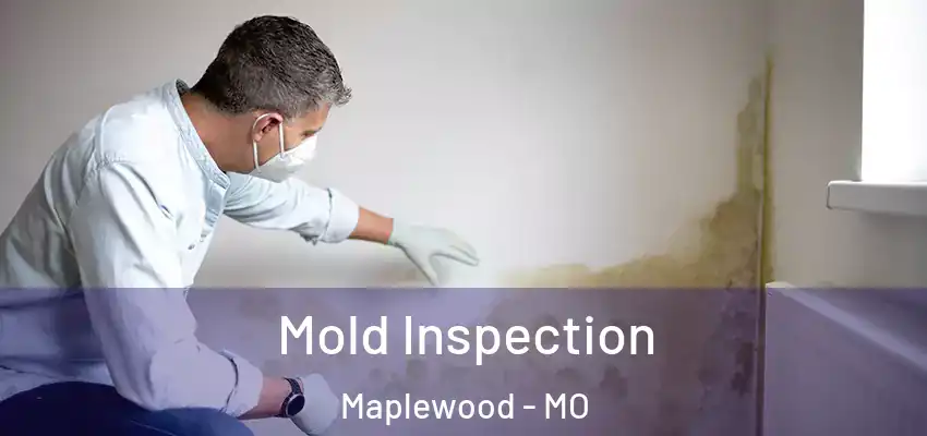 Mold Inspection Maplewood - MO