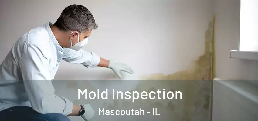  Mold Inspection Mascoutah - IL