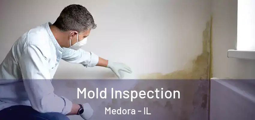  Mold Inspection Medora - IL