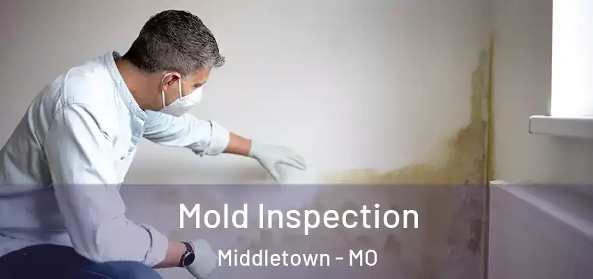 Mold Inspection Middletown - MO