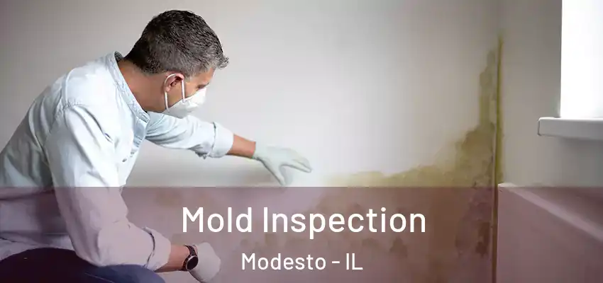  Mold Inspection Modesto - IL