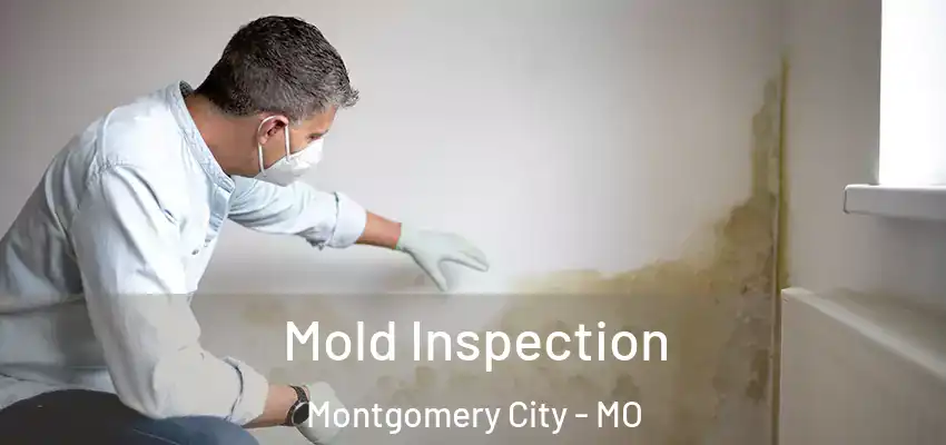  Mold Inspection Montgomery City - MO