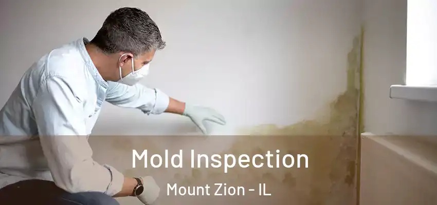  Mold Inspection Mount Zion - IL