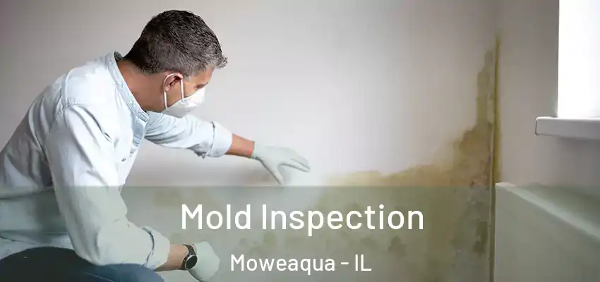 Mold Inspection Moweaqua - IL