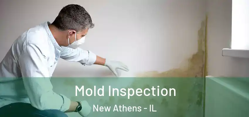  Mold Inspection New Athens - IL