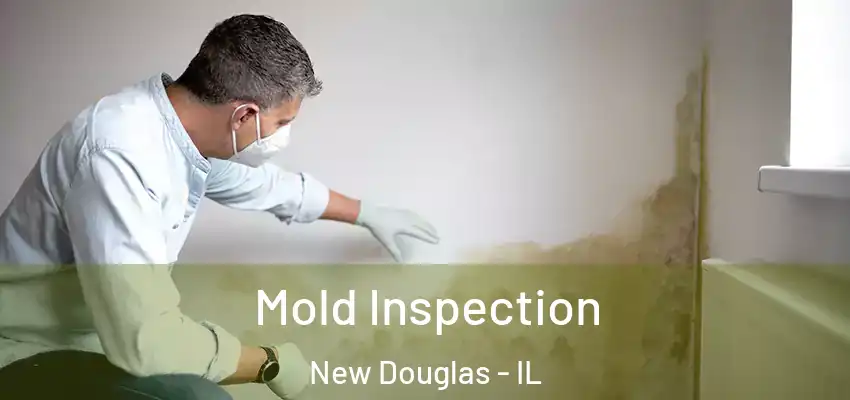  Mold Inspection New Douglas - IL