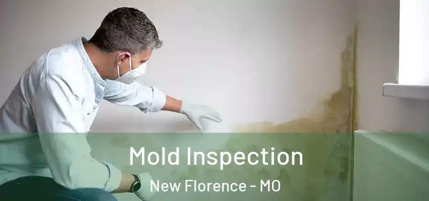  Mold Inspection New Florence - MO