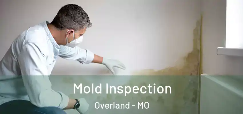 Mold Inspection Overland - MO