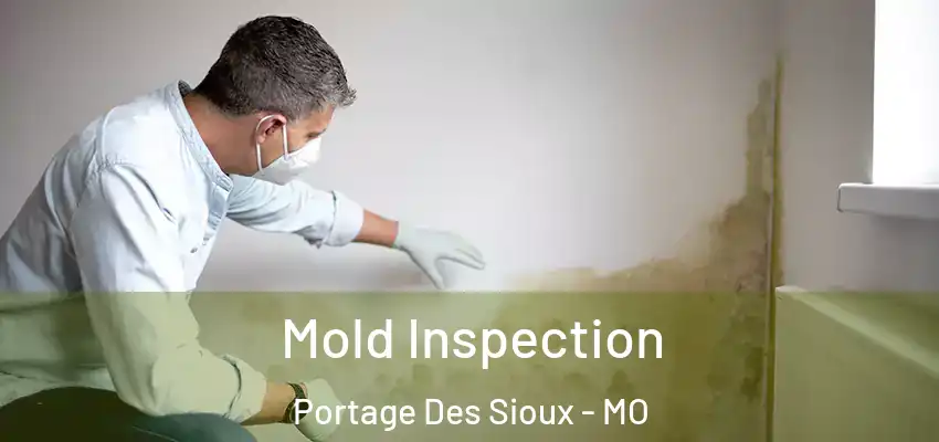  Mold Inspection Portage Des Sioux - MO