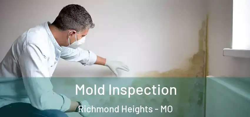  Mold Inspection Richmond Heights - MO