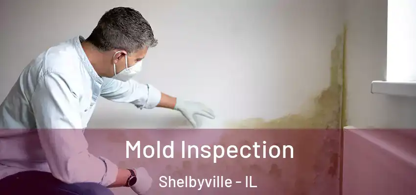  Mold Inspection Shelbyville - IL