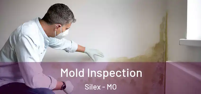 Mold Inspection Silex - MO