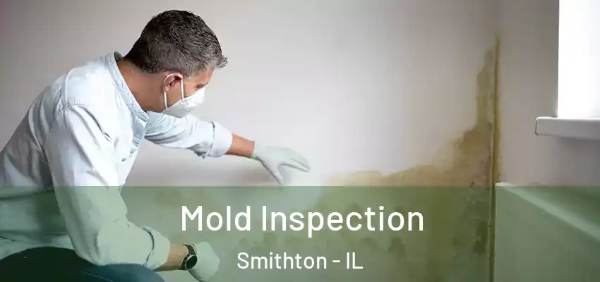 Mold Inspection Smithton - IL