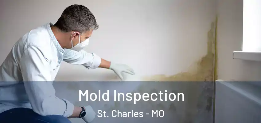 Mold Inspection St. Charles - MO