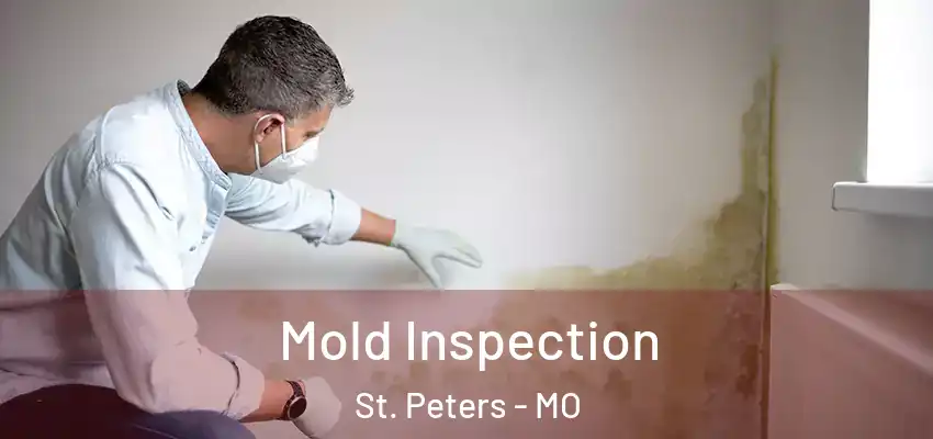  Mold Inspection St. Peters - MO