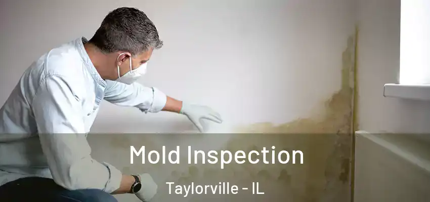  Mold Inspection Taylorville - IL