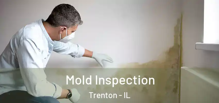  Mold Inspection Trenton - IL