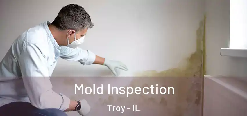  Mold Inspection Troy - IL