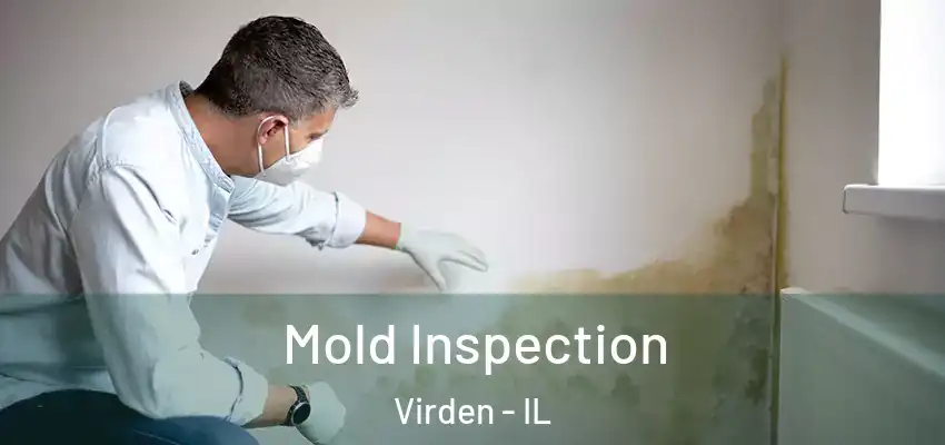 Mold Inspection Virden - IL