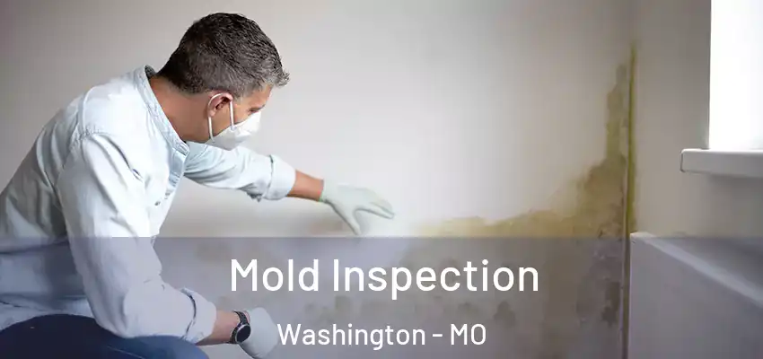  Mold Inspection Washington - MO