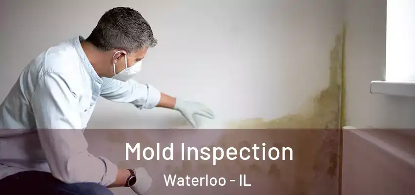  Mold Inspection Waterloo - IL