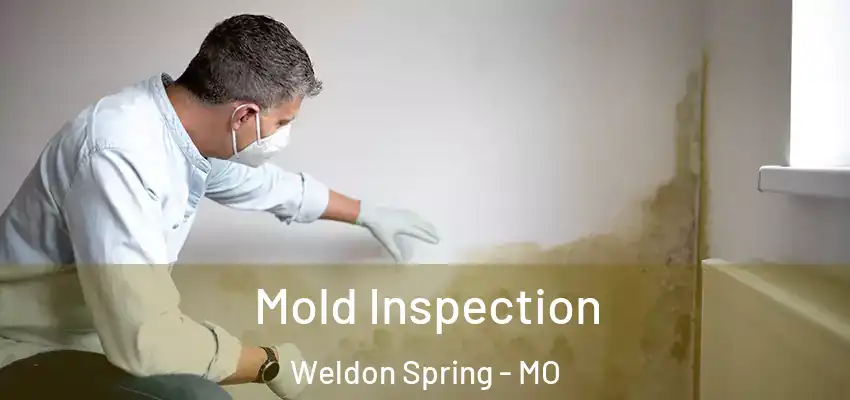 Mold Inspection Weldon Spring - MO