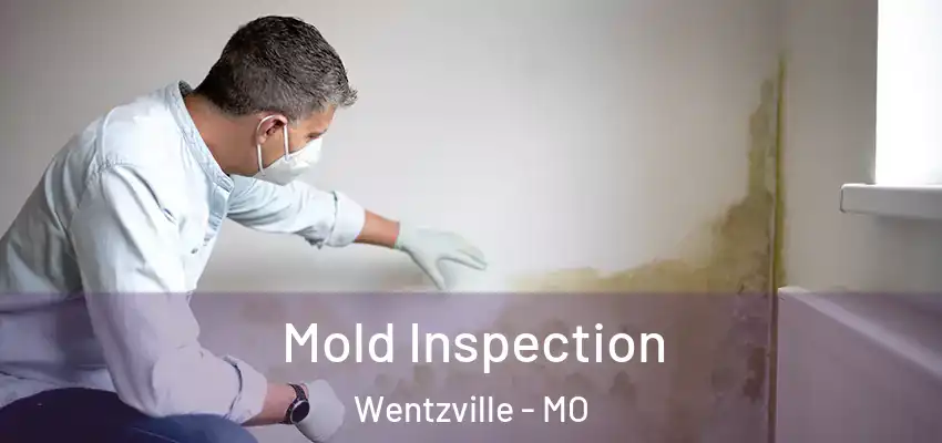  Mold Inspection Wentzville - MO