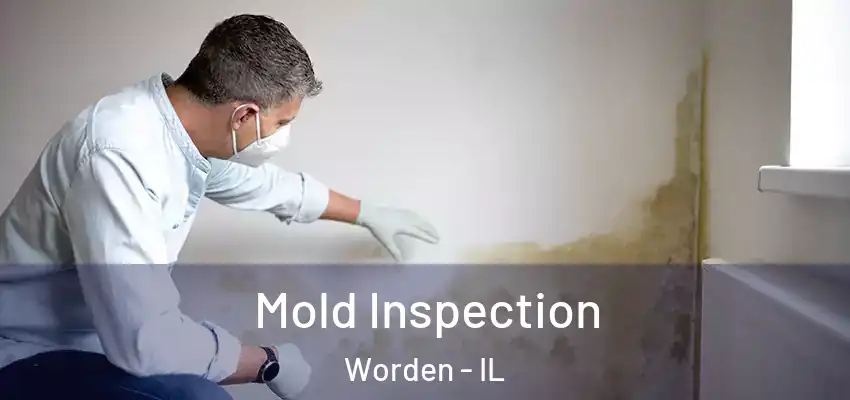  Mold Inspection Worden - IL