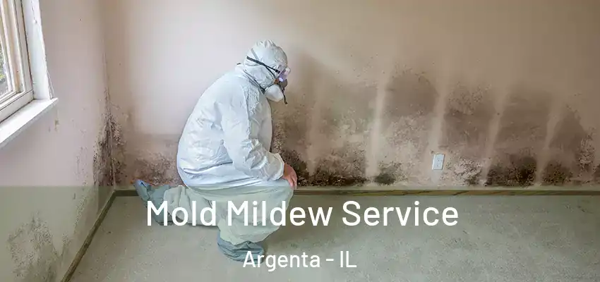  Mold Mildew Service Argenta - IL