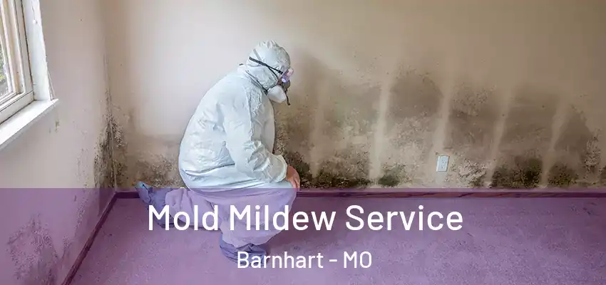  Mold Mildew Service Barnhart - MO