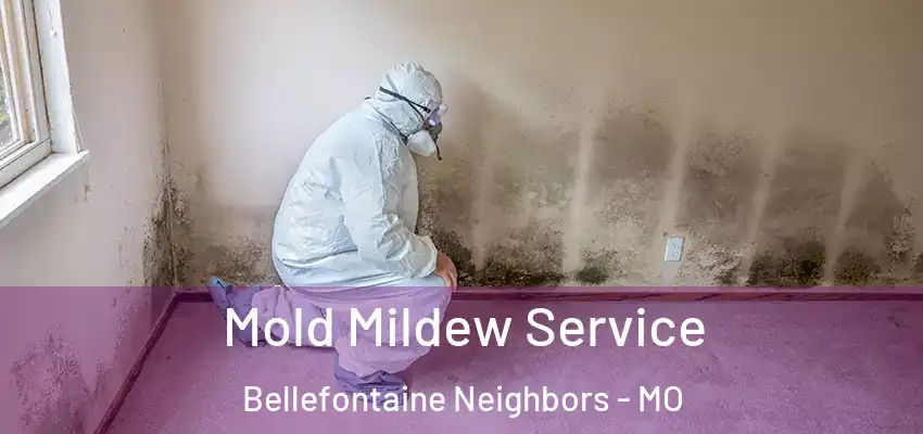  Mold Mildew Service Bellefontaine Neighbors - MO