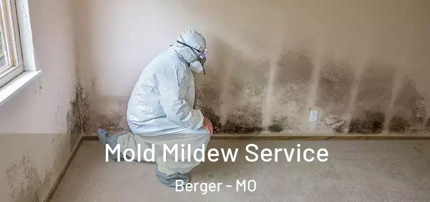  Mold Mildew Service Berger - MO