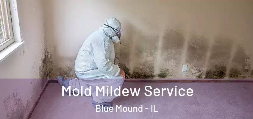  Mold Mildew Service Blue Mound - IL