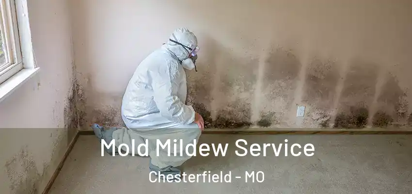  Mold Mildew Service Chesterfield - MO