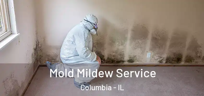  Mold Mildew Service Columbia - IL