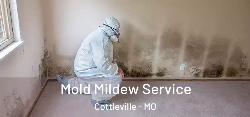  Mold Mildew Service Cottleville - MO