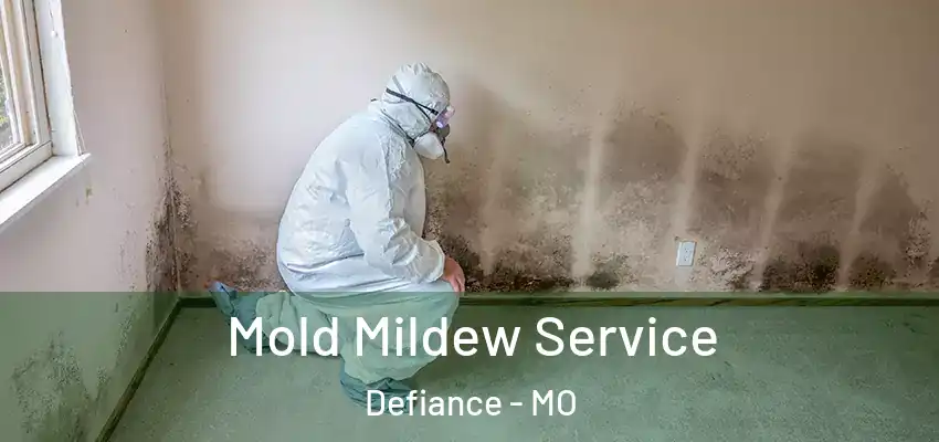  Mold Mildew Service Defiance - MO
