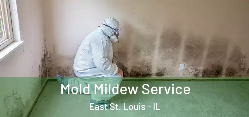  Mold Mildew Service East St. Louis - IL