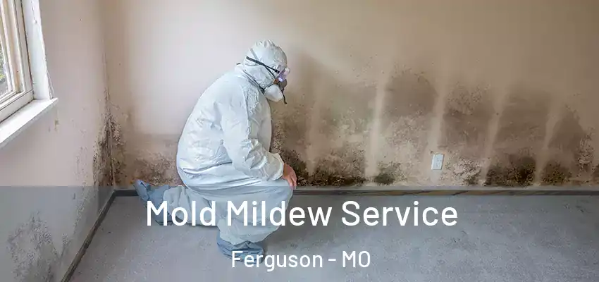 Mold Mildew Service Ferguson - MO