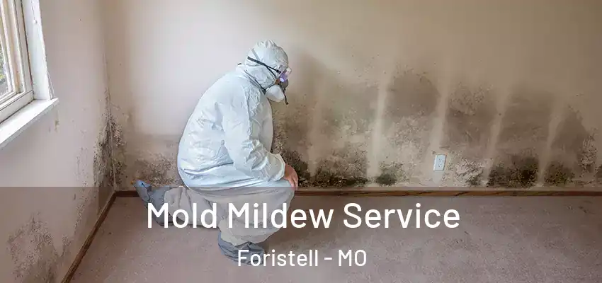  Mold Mildew Service Foristell - MO