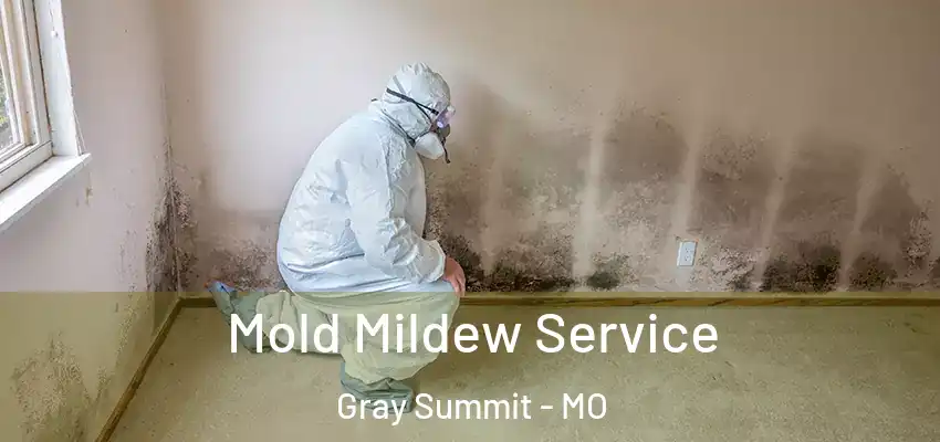  Mold Mildew Service Gray Summit - MO