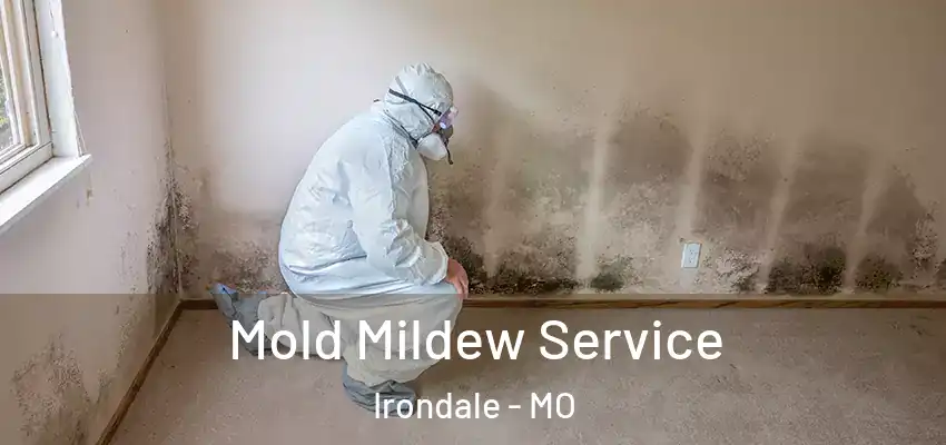  Mold Mildew Service Irondale - MO