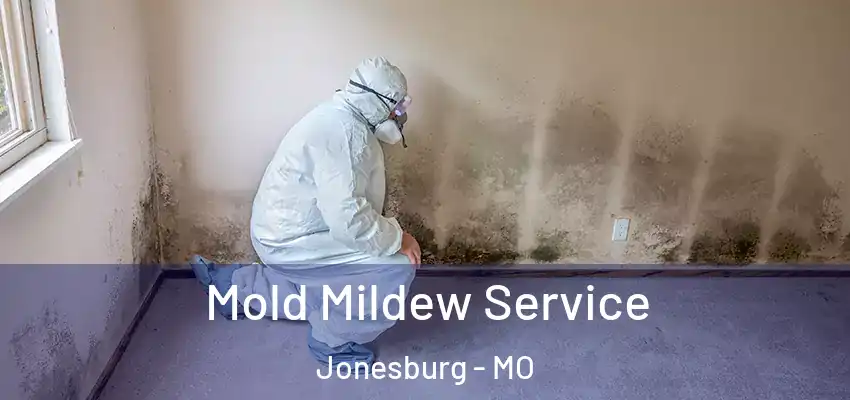  Mold Mildew Service Jonesburg - MO