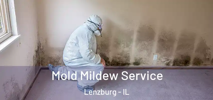  Mold Mildew Service Lenzburg - IL