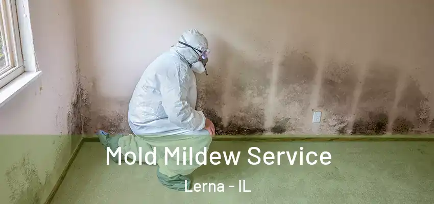 Mold Mildew Service Lerna - IL