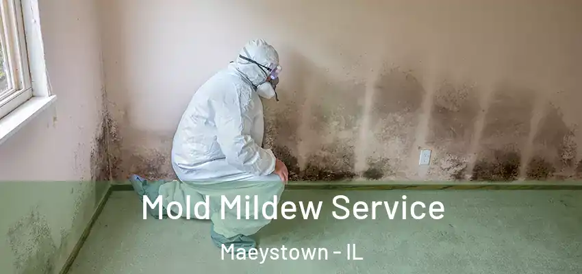  Mold Mildew Service Maeystown - IL