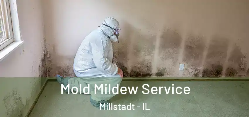  Mold Mildew Service Millstadt - IL