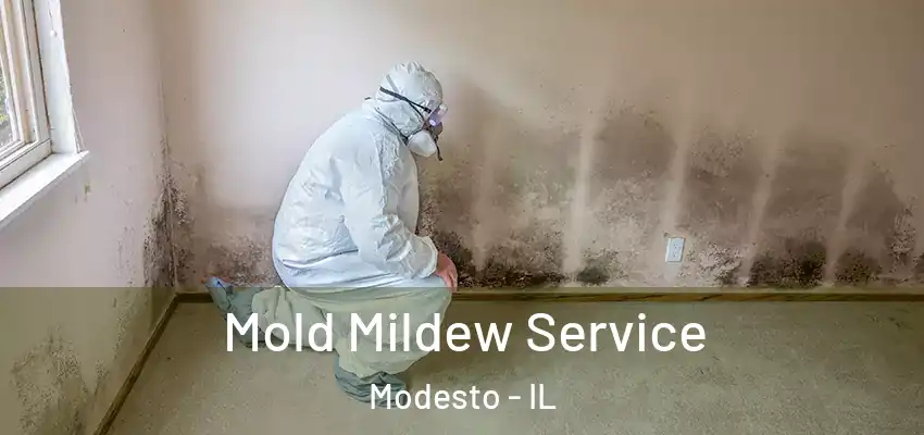  Mold Mildew Service Modesto - IL