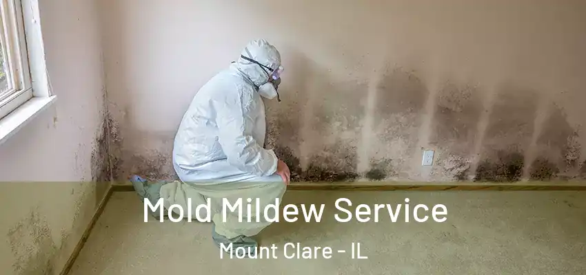  Mold Mildew Service Mount Clare - IL